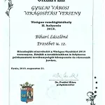 Gyulapartman Appartamento Gyula